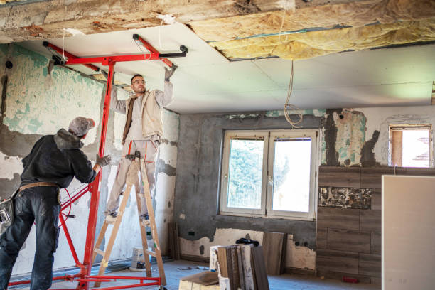 Best DIY Insulation Kits and Guidance in Weidman, MI