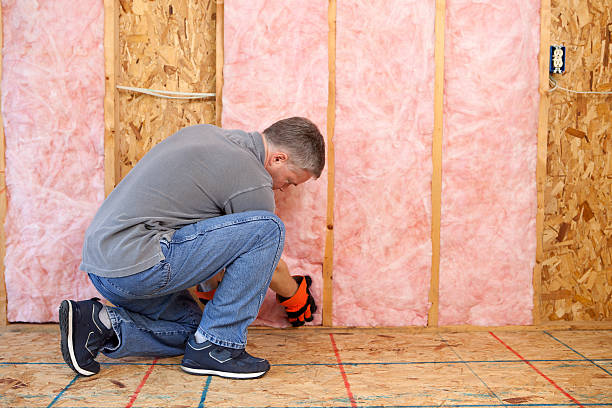 Professional Insulation Contractor in Weidman, MI