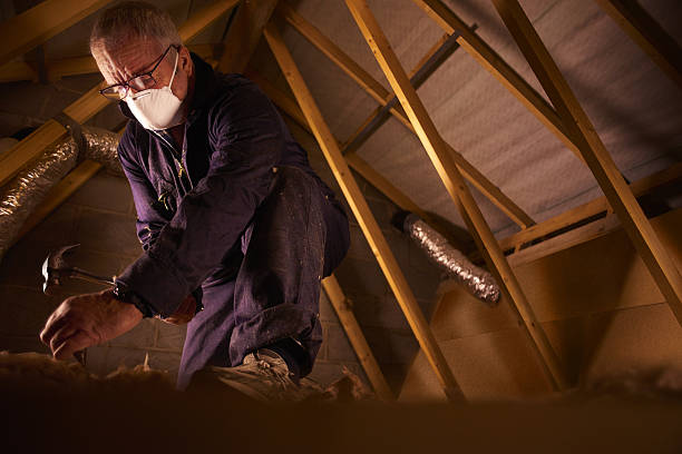 Best Cellulose Insulation in Weidman, MI